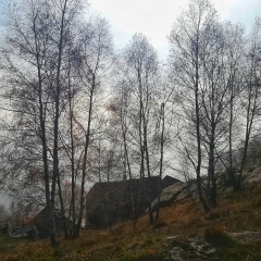 Alpe Alagua
