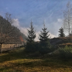 Alpe Alagua