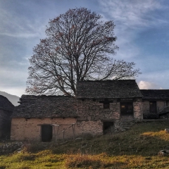 Alpe Alagua