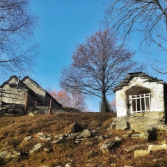 Alpe Alagua