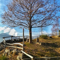 Alpe Alagua