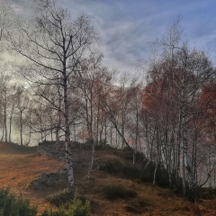 Alpe Alagua