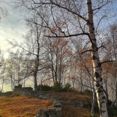 Alpe Alagua
