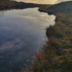 Alpe Alagua