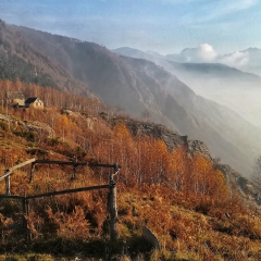 Alpe Alagua