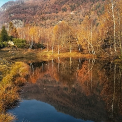 Alpe Alagua