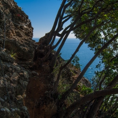 00022camogli-sanfruttuoso
