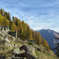 img_20221029_101105-01