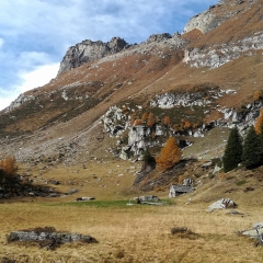 00010casarola2019