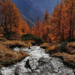 Alpe Casarola, Passo del Muretto, Alpe Poiala