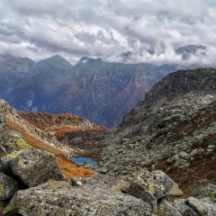00020casarola2019