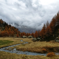 00021casarola2019
