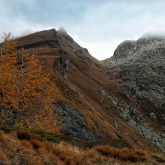 00032casarola2019