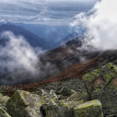 00034casarola2019