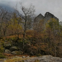 00001castello-picchi