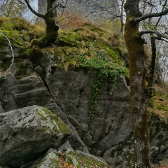 00002castello-picchi