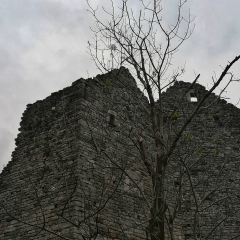 00005castello-picchi