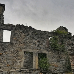 00006castello-picchi
