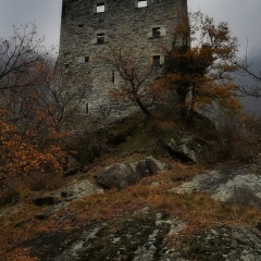00013castello-picchi