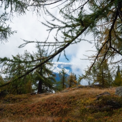 dsc_0060-3