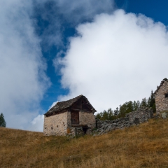 dsc_0071-4