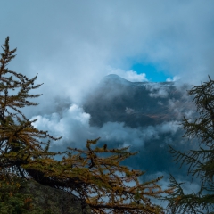 dsc_0101-7