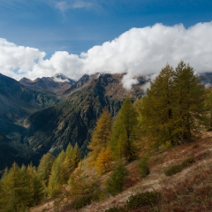 dsc_0126-9