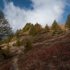 dsc_0128-10