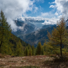 dsc_0133-11