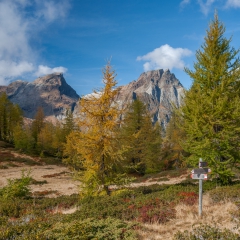 dsc_0225-6