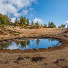 dsc_0231-7