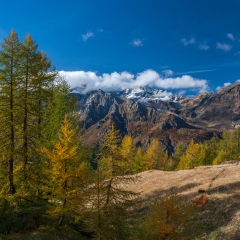 dsc_0260-10