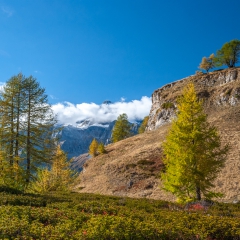 dsc_0289-12