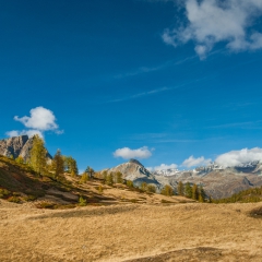 dsc_0299-14