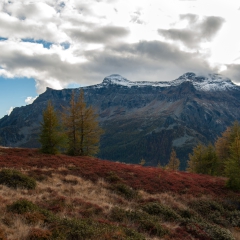 dsc_0361-20