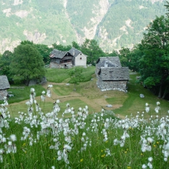 00003selezione-montagna