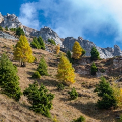 00012selezione-montagna