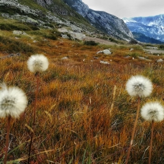 00018selezione-montagna