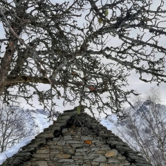00029selezione-montagna