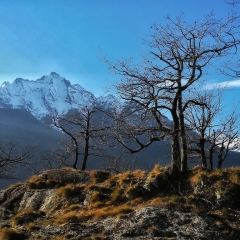 00032selezione-montagna