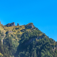 dsc_0003-1