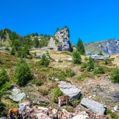 dsc_0027-6