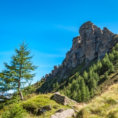 Alpe Tanzonia, Punta di Campo