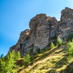 dsc_0101-19